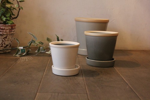 陶器の皿付き植木鉢