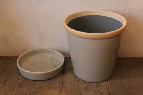 陶器の皿付き植木鉢