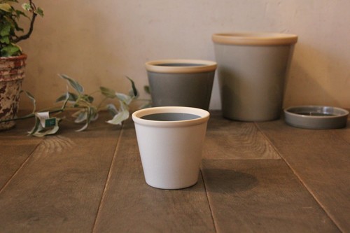 陶器の皿付き植木鉢