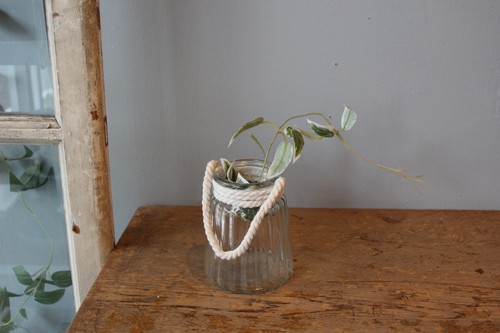 置いても吊っても使えるロープ付きガラスフラワーベース