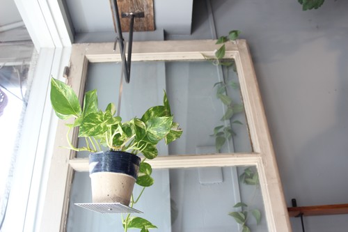 menuiオリジナルPlantHangerプラントハンガー観葉植物を上から吊れるフック