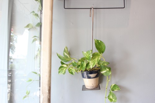 menuiオリジナルPlantHangerプラントハンガー観葉植物を上から吊れるフック
