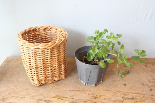 menuiオリジナルPlantHangerプラントハンガー観葉植物を上から吊れるフック