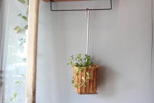 menuiオリジナルPlantHangerプラントハンガー観葉植物を上から吊れるフック